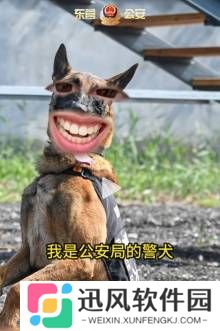 极乐软件园